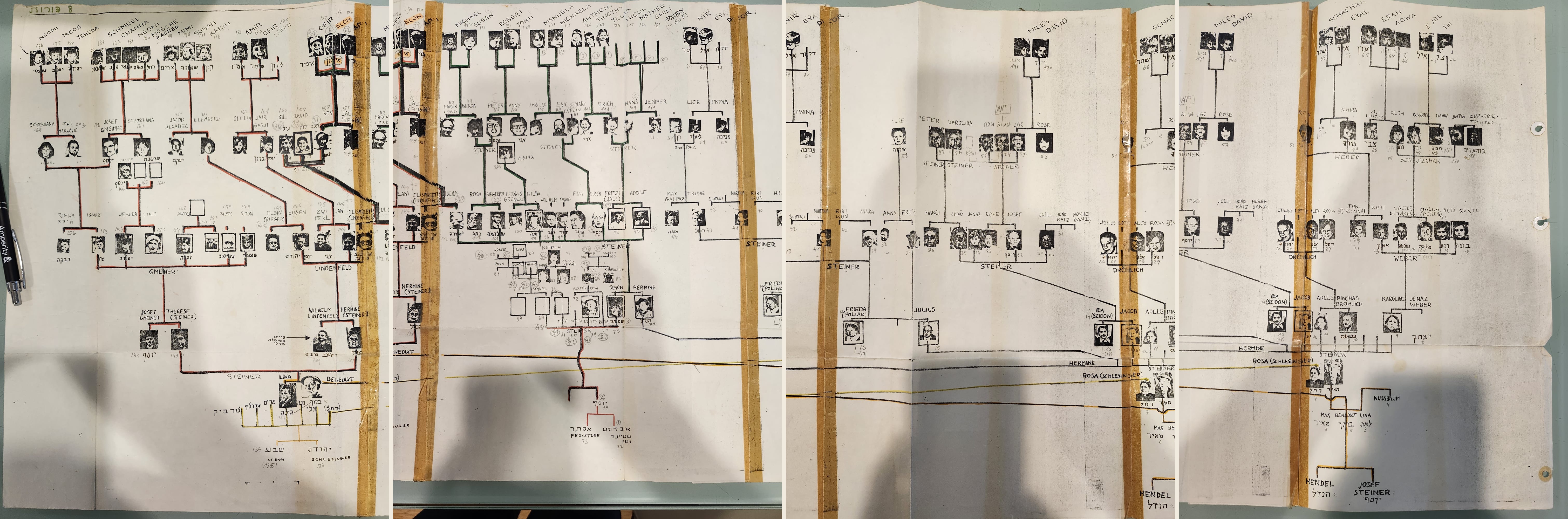 The complete Steiner family tree panorama, made by joining all four original photos from left to right